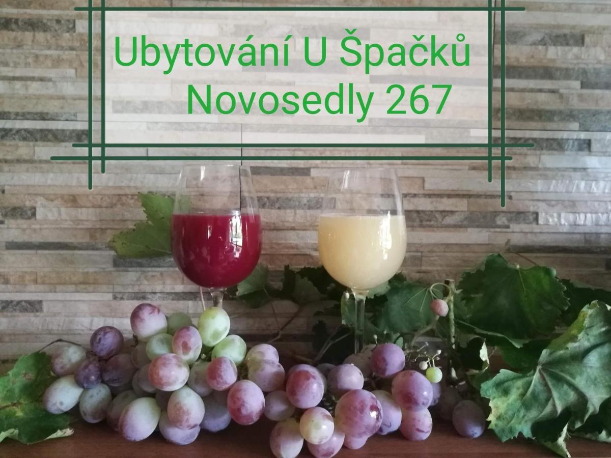 Ubytovani U Spacku Palava Novosedly  外观 照片