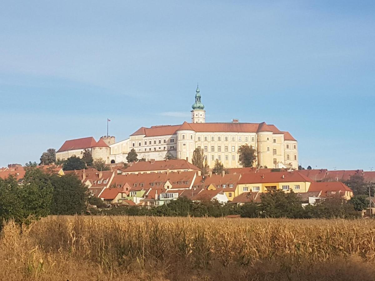 Ubytovani U Spacku Palava Novosedly  外观 照片