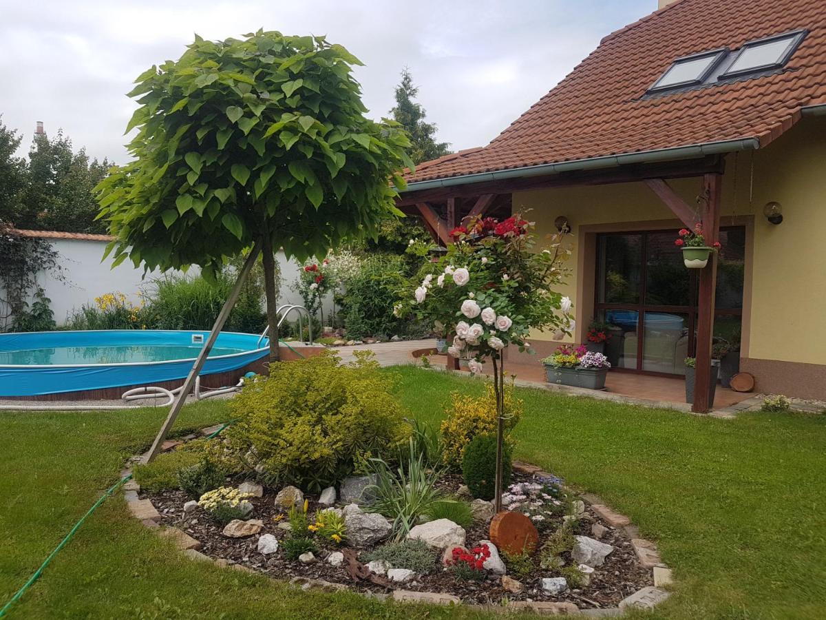 Ubytovani U Spacku Palava Novosedly  外观 照片