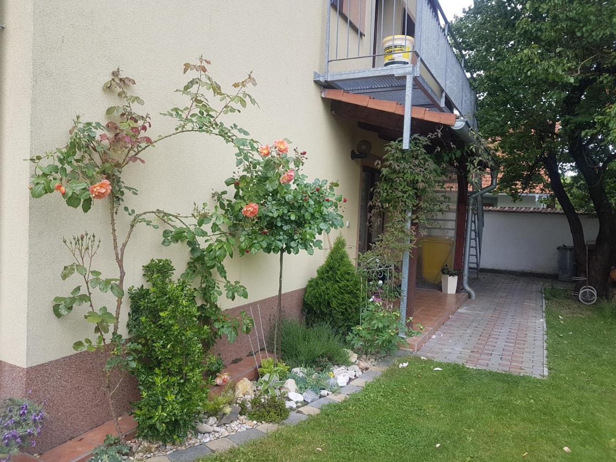 Ubytovani U Spacku Palava Novosedly  外观 照片