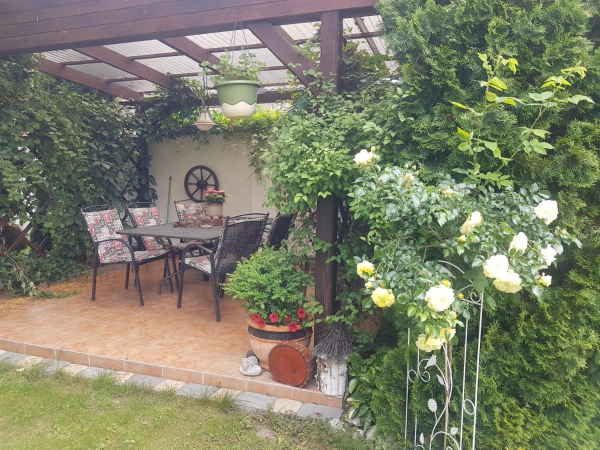Ubytovani U Spacku Palava Novosedly  外观 照片