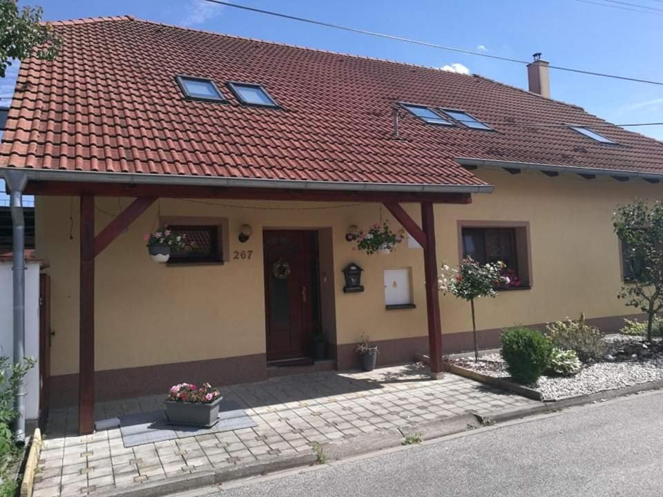 Ubytovani U Spacku Palava Novosedly  外观 照片