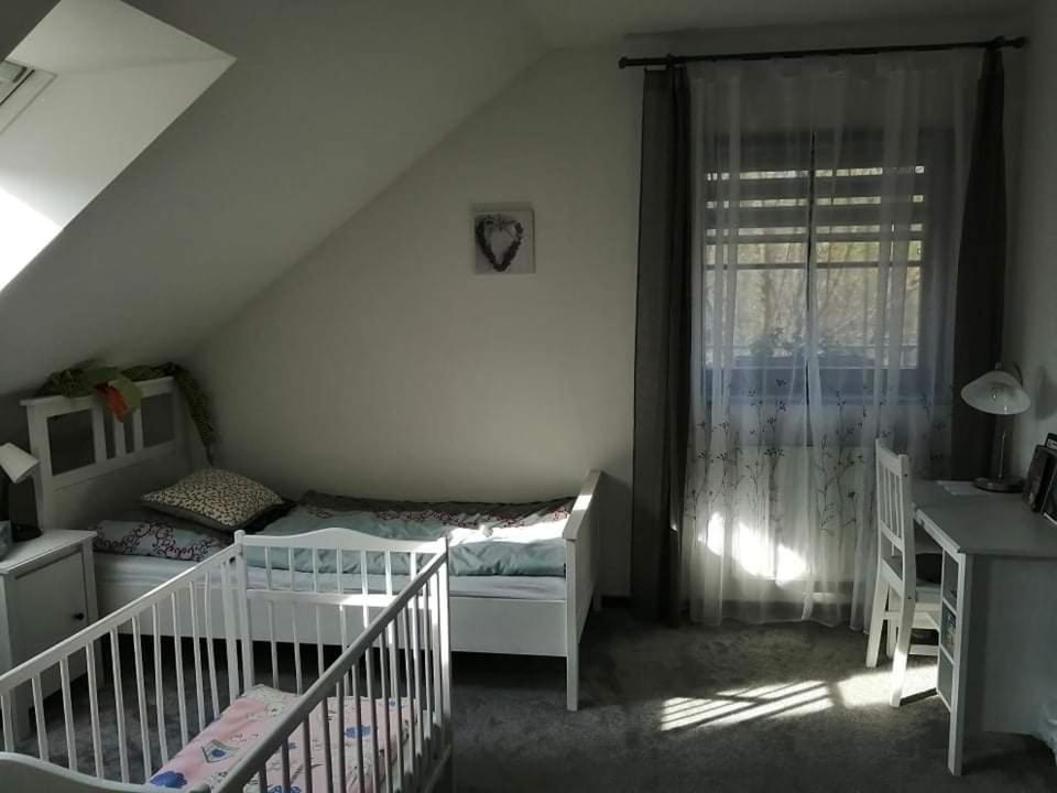 Ubytovani U Spacku Palava Novosedly  外观 照片