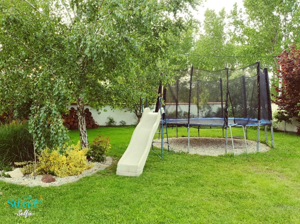 Ubytovani U Spacku Palava Novosedly  外观 照片